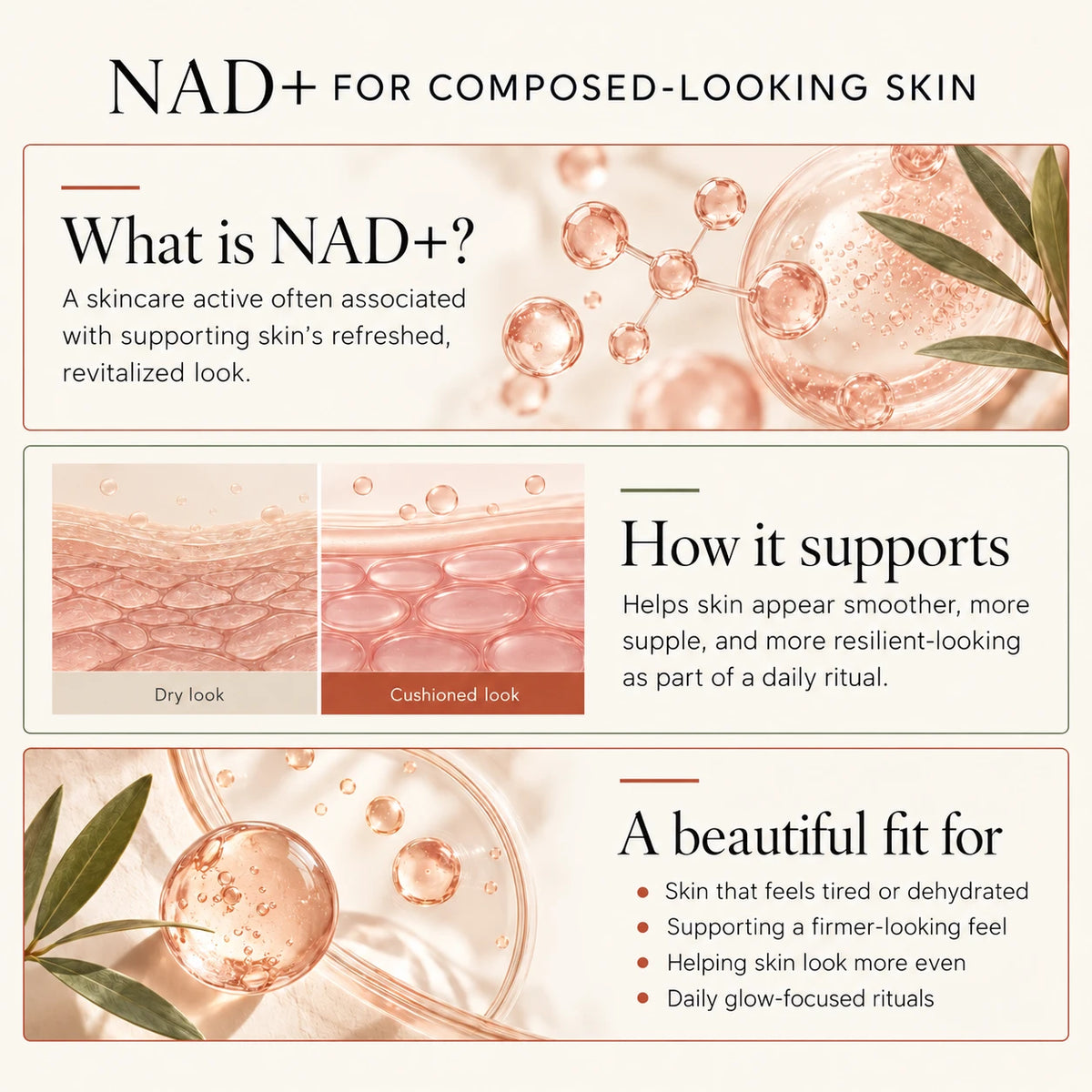 What is NAD+ and how it supports composed-looking skin